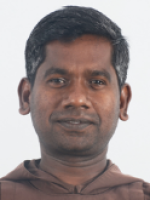 celebration profile